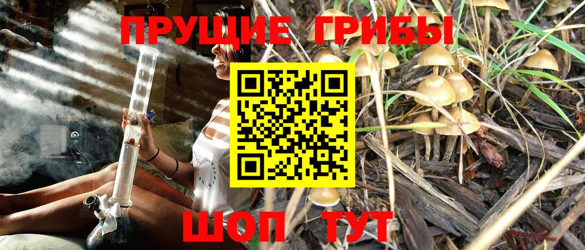 Галлюциногенные грибы Magic Shrooms Дубна